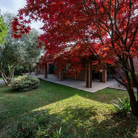 Cecilia By Interhome Cioccaro Di Penango